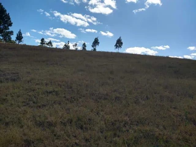 TERRAIN D’INVESTISSEMENT STRATÉGIQUE À BETSIZARAINA - 2 HECTARES